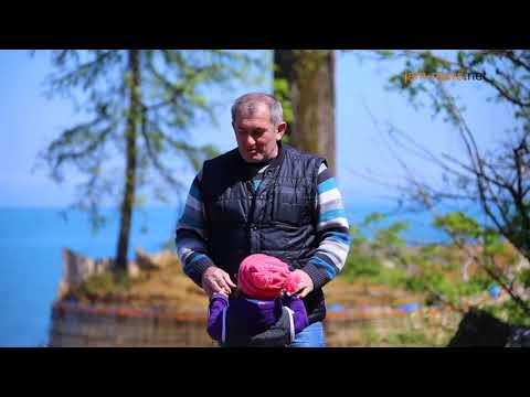 დიდი ხეები – მილიარდერის უკანასკნელი ცდუნება.