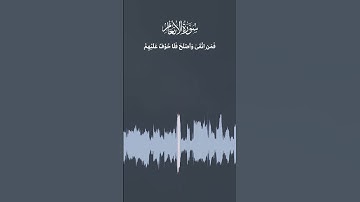 آيات من سورة الأنعام | 2025