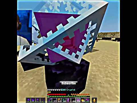 Marlow S Prime Shorts