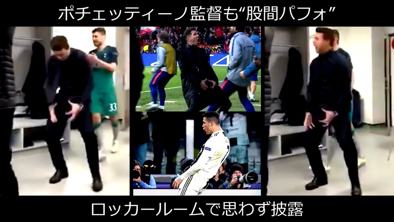 ポチェッティーノ 長い夜 ポチェッティーノ 長い夜