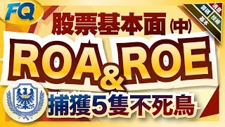 0050也藏有ROE不死鳥啊！新手學基本面二大指標 評估企業賺錢能力 | 夯翻鼠FQ26 股票投資