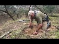 Gold prospecting deep in the victorian bush with the minelab gpz 7000 and nugget finder 17x13 coil