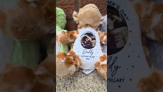 Personalised Teddy Bears 🧸 | Adorable Custom Teddies from Spotted Lizard Prints