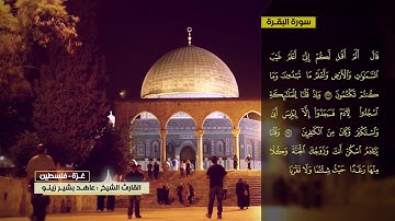 عاهد زينو سورة البقرة