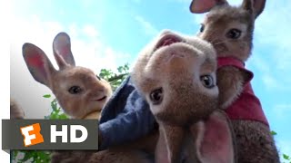 Peter Rabbit - Party! Scene | Fandango Family