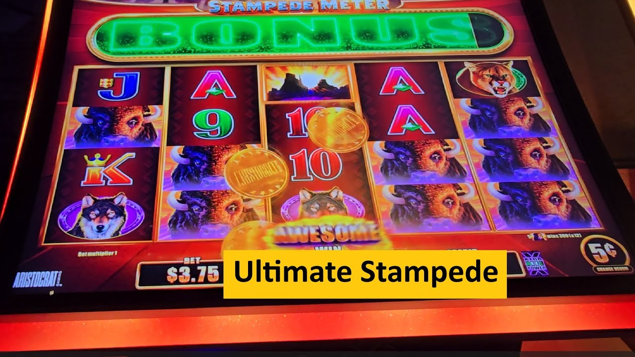 Buffalo Ultimate Stampede Slot for the Big Win! Aristocrat Game