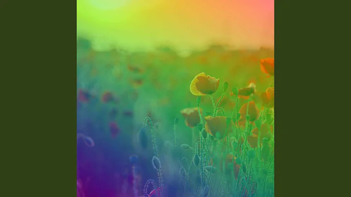 Background for Basic Imagination