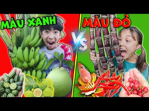 Video Thử Thách Tìm Đồ Ăn Màu Xanh Và Màu Đỏ Trong Tự Nhiên... - youtube