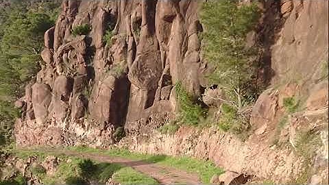 سورة نوح القارئ الشيخ محمد الفقيه