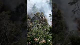 Person in critical condition after Lithia fire #fire #florida #hillsboroughcounty