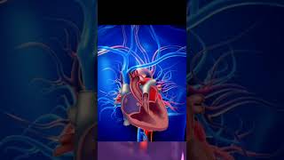 Dzikir Detak Jantung Tanpa Putus Mencapai Sang Maha Baatin