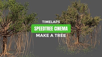 SpeedTree Cinema 9.5 : Time-lapse making of Tree