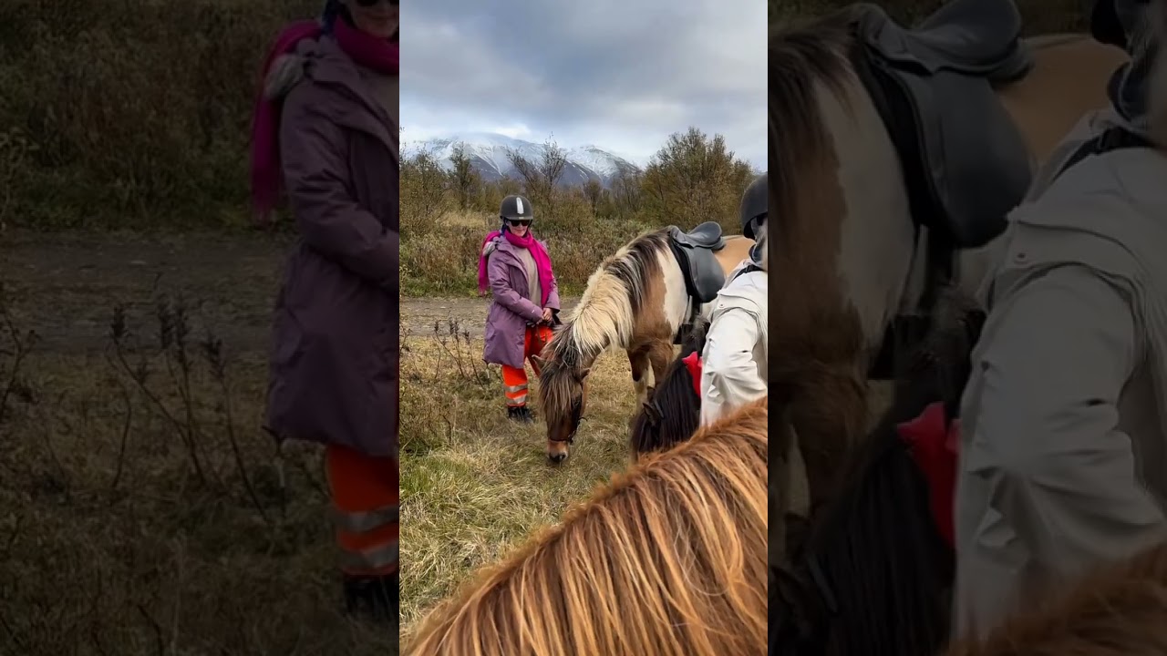 Beautiful things don't ask for attention. 