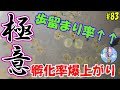 孵化率爆上がり♪歩留まり率アップの極意！！【目指せ群泳】＃８３ ～美心めだか～