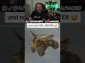 Und noch VIEL WEITER 😅 #halo #halomcc #haloce #gaming #twitch
