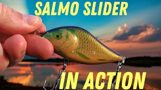 Pike absolutely smashing Salmo Slider! - Lure fishing for big Pike