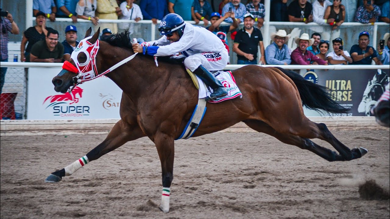 El Dexxter C. 3 Amigos Vs El Hechicero C. La Esperanza | Satevo Race Track, Chihuahua Mex.