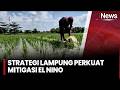 Lampung Bangun 1.200 Irigasi Perpompaan, Strategi Perkuat Mitigasi El Nino | iNews Sore 19/6