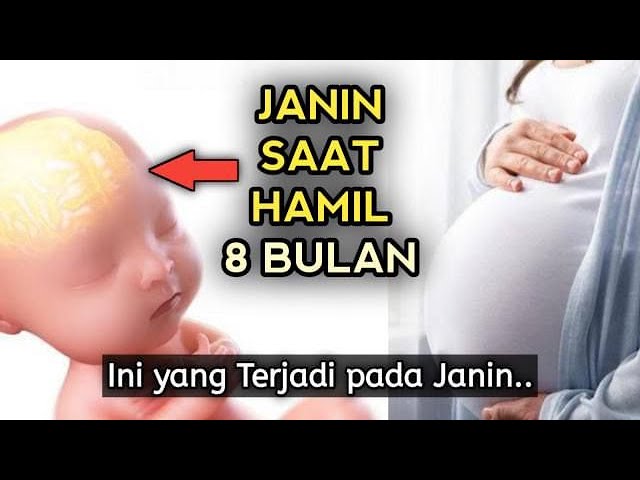 Inilah yang Terjadi pada Janin saat Bumil Hamil 8 Bulan class=