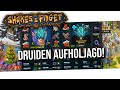 ⭐ S42 Druiden Aufholjagd ⭐ Shakes & Fidget ⭐ Paul Terra ⭐