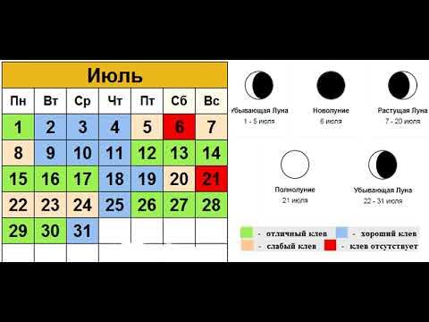 Прогноз клева. Прогноз клева. Рыболовный календарь на 2024 год. Календарь клева рыбы. Календарь рыболова.