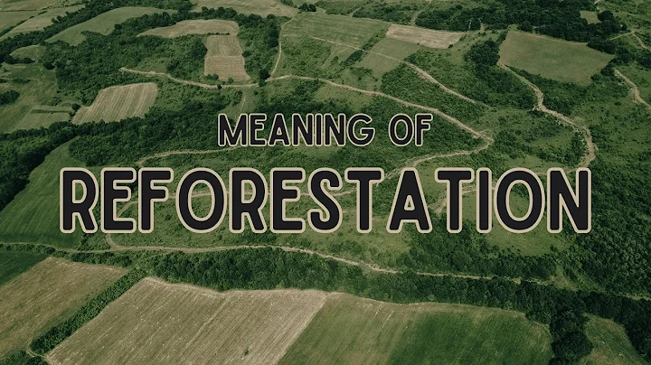 What is the meaning of Reforestation?