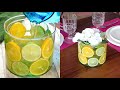 Citrus fruits centerpiece: you can make it for your table in minutes!