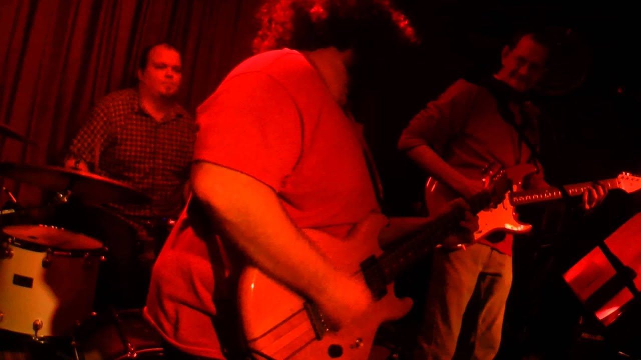 Pat Lenertz Band - Are you sure hank done it this way @ dempsey's 11-16-13