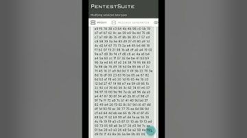 Modifying serialized data types by PentestSuite
