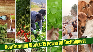 What Are the Different Types of Farming? Learn the Basics in Minutes