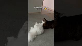 And The Winner Is...?