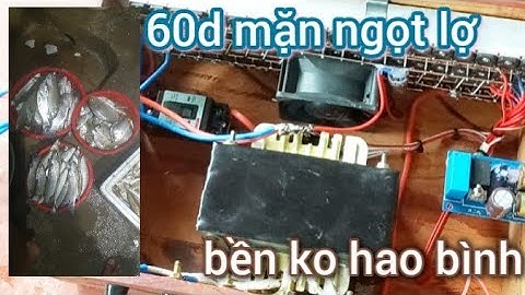 kích cá nước mặn máy 60D đi thuyền đánh mặn mặn chát nợ ngọt hiệu quả bền giá cả hợp lý