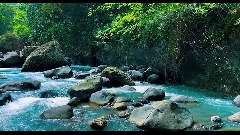 Peaceful Stream Sound. Gentle Water Flow, Nature Ambience. White Noise for Sleep and Studying