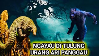 Anak Raja Bunsu Tengiling 9