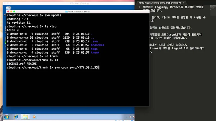 Subversion Tagging하기