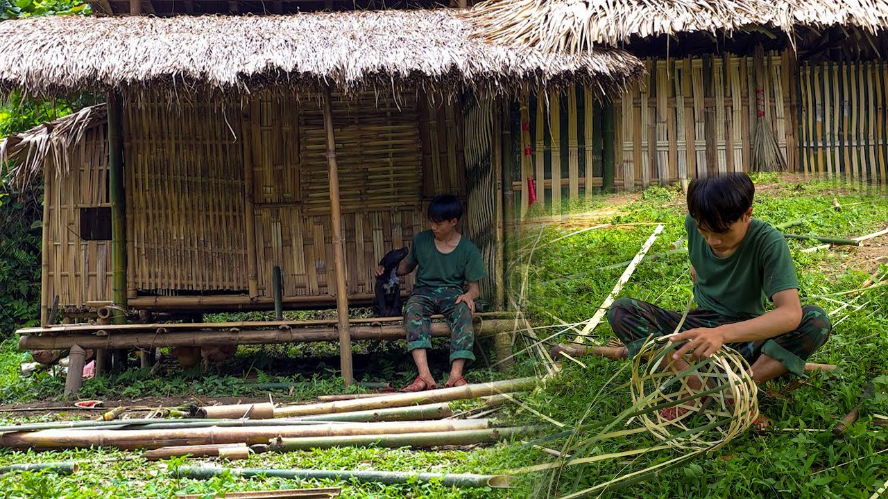 highland boy Pick a sweet lychee from a twenty meter high tree and take it to the market to sell