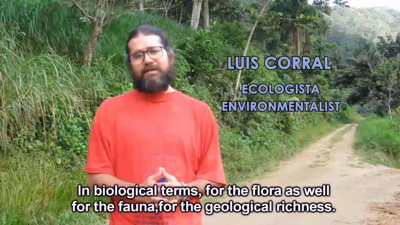 Large scale mining in Ecuador - Luis Corral
