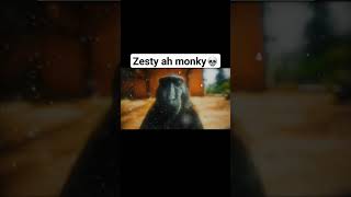 Zesty Ah Gorilla