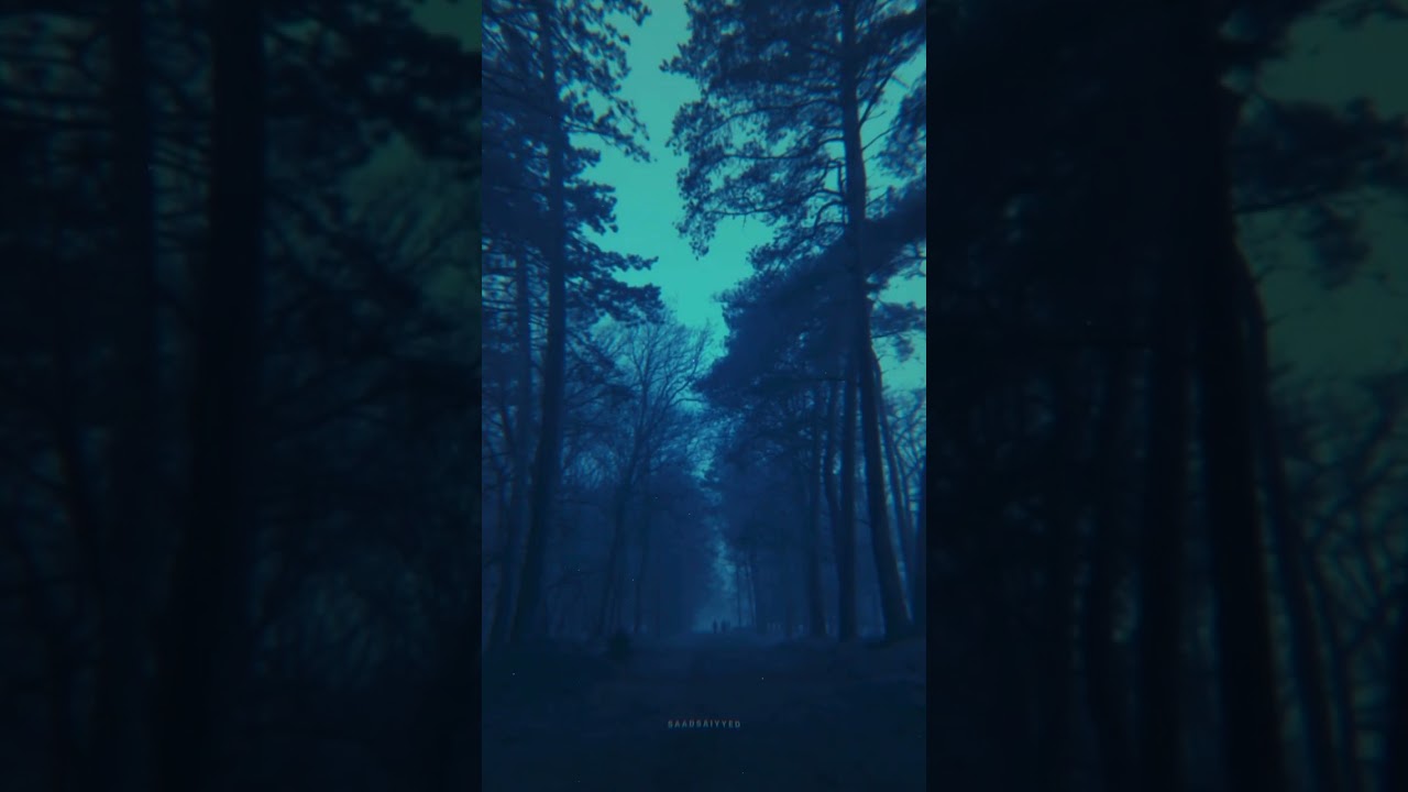 INFINITY SONG STATUS