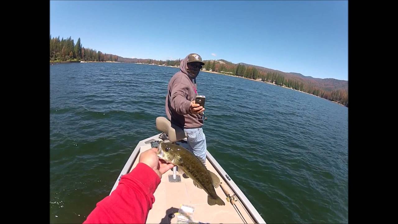 Bass Lake Fishing - YouTube