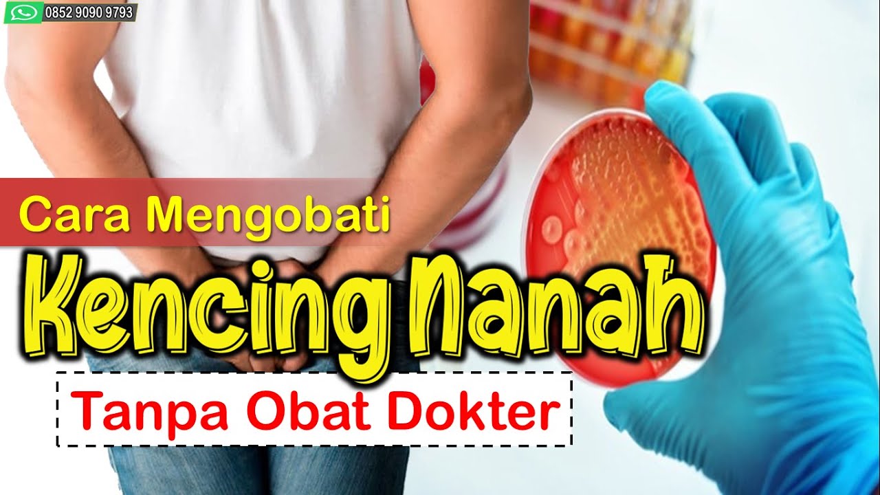 Cara Mengobati Kencing Nanah Sendiri Tanpa Obat Dokter YouTube