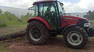 Case 65 Lik Çam Çekme