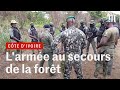 En cte divoire une brigade spciale au secours de la fort