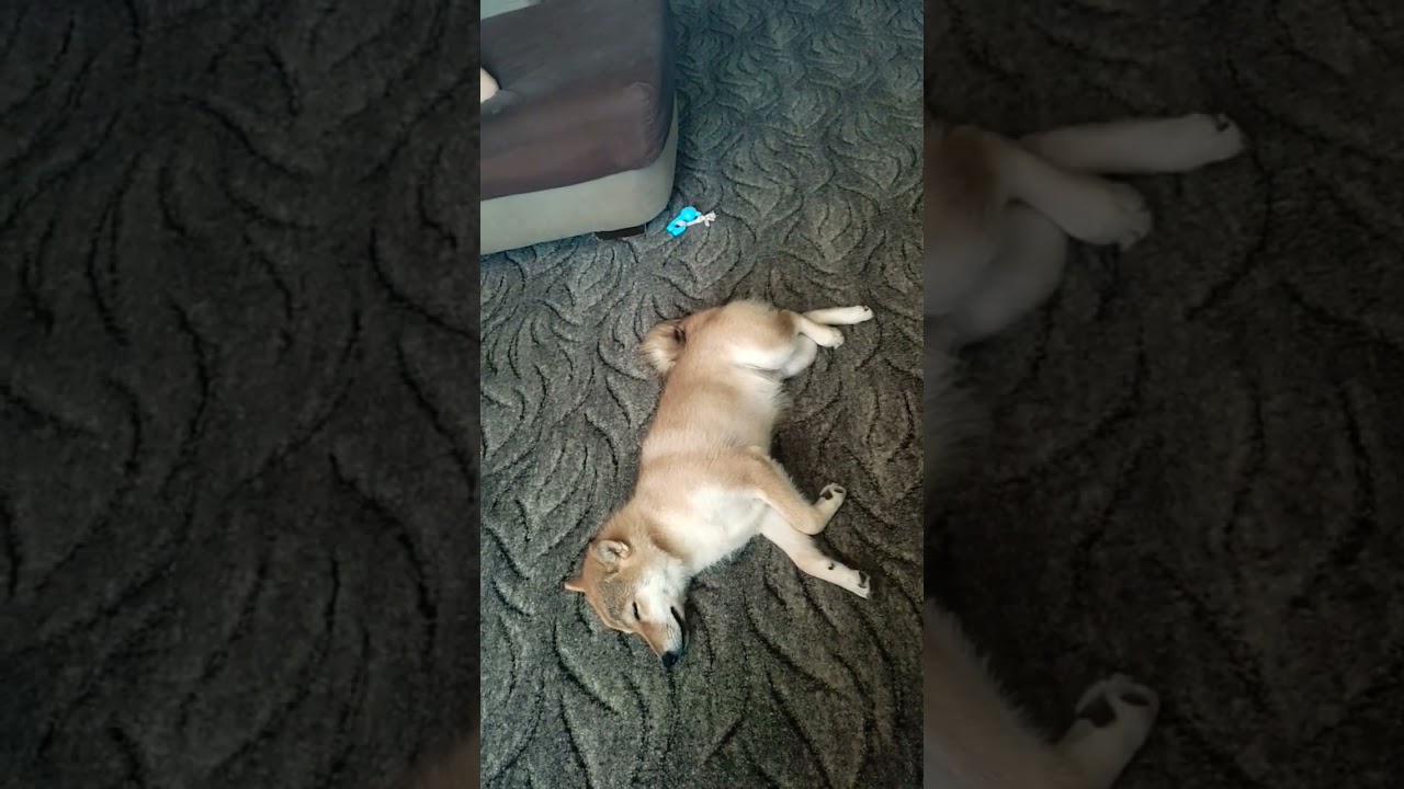 ВСЕГДА бы так 