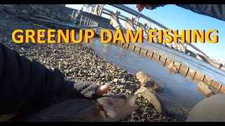 AMAZING Fishing At GREENUP DAM