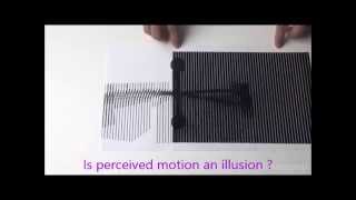 The illusion of motion