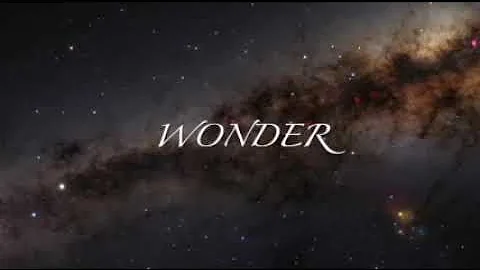 Wonder