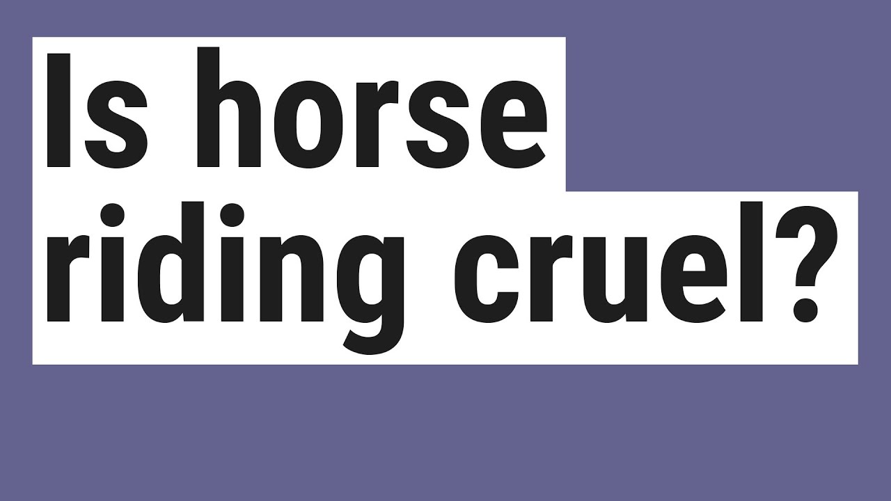 Is horse riding cruel? YouTube