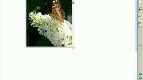 SMART Notebook Software - Adding Your Own Images and Graphic