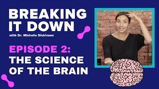 The Science Of The Brain - Episode 2 Breaking It Down by Dr Michelle Dickinson 555 views 3 years ago 20 minutes